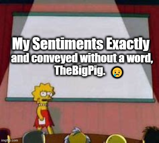 My Sentiments Exactly and conveyed without a word, 
TheBigPig. ? | made w/ Imgflip meme maker