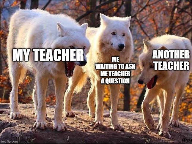 Last year, I stood there like an idiot | ANOTHER TEACHER; ME WAITING TO ASK ME TEACHER A QUESTION; MY TEACHER | image tagged in three dogs | made w/ Imgflip meme maker