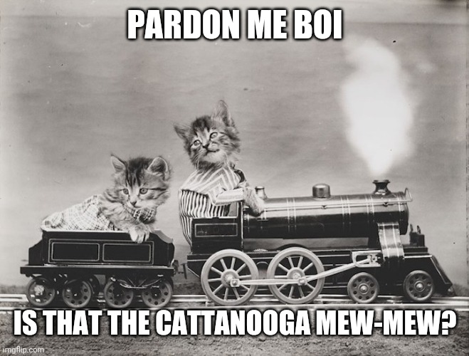 Track twenty 9-lives? | PARDON ME BOI; IS THAT THE CATTANOOGA MEW-MEW? | image tagged in memes,cat memes,dumb meme,cats,train,trains | made w/ Imgflip meme maker