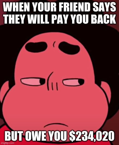 WHEN YOUR FRIEND SAYS THEY WILL PAY YOU BACK; BUT OWE YOU $234,020 | image tagged in meme | made w/ Imgflip meme maker