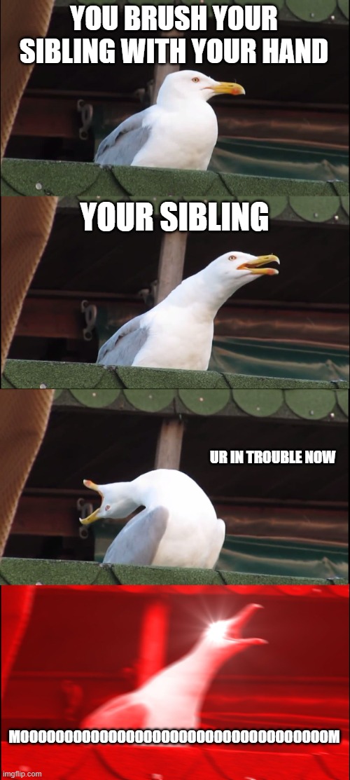 the evil sibling | YOU BRUSH YOUR SIBLING WITH YOUR HAND; YOUR SIBLING; UR IN TROUBLE NOW; MOOOOOOOOOOOOOOOOOOOOOOOOOOOOOOOOOOOM | image tagged in memes,inhaling seagull | made w/ Imgflip meme maker