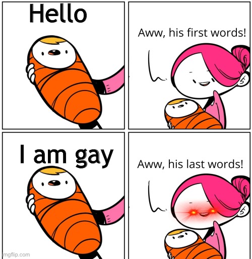 Awww | Hello; I am gay | image tagged in aww his last words | made w/ Imgflip meme maker