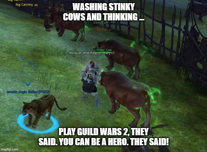 You can be a Hero, they said. | WASHING STINKY COWS AND THINKING ... PLAY GUILD WARS 2, THEY SAID. YOU CAN BE A HERO. THEY SAID! | image tagged in guild wars2,gw2,stinky cows,hero | made w/ Imgflip meme maker