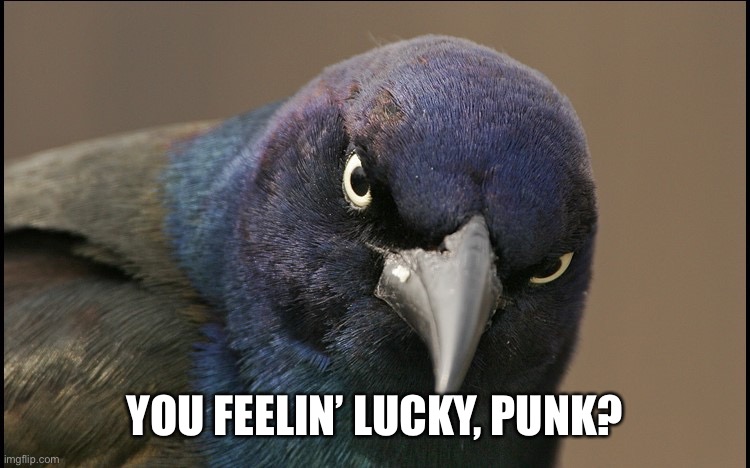 The Original Angry Bird | YOU FEELIN’ LUCKY, PUNK? | image tagged in the original angry bird | made w/ Imgflip meme maker