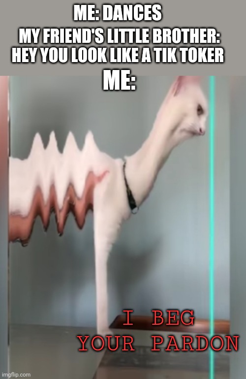 Mad cat | ME: DANCES; MY FRIEND'S LITTLE BROTHER: HEY YOU LOOK LIKE A TIK TOKER; ME:; I BEG YOUR PARDON | image tagged in mad cat | made w/ Imgflip meme maker