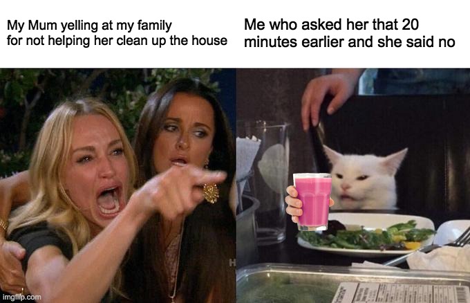 Woman Yelling At Cat | My Mum yelling at my family for not helping her clean up the house; Me who asked her that 20 minutes earlier and she said no | image tagged in memes,woman yelling at cat | made w/ Imgflip meme maker