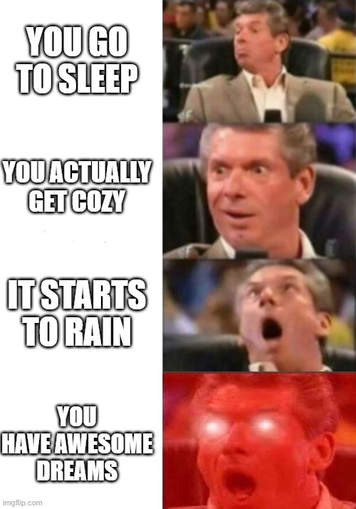 ahhhh.... | YOU GO TO SLEEP; YOU ACTUALLY GET COZY; IT STARTS TO RAIN; YOU HAVE AWESOME DREAMS | image tagged in mr mcmahon reaction,memes,sleep,oh wow are you actually reading these tags | made w/ Imgflip meme maker