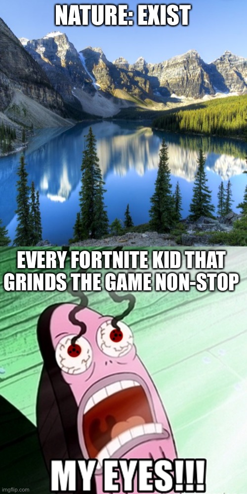 My eyes | NATURE: EXIST; EVERY FORTNITE KID THAT GRINDS THE GAME NON-STOP | image tagged in fortnite,memes | made w/ Imgflip meme maker