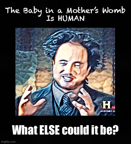 Science Says...       (neverwoke) | The Baby in a Mother’s Womb
Is HUMAN; What ELSE could it be? | image tagged in science,baby,abortion,pro-life,anti-life,choice | made w/ Imgflip meme maker
