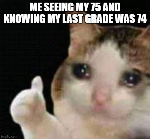 1 point higher | ME SEEING MY 75 AND KNOWING MY LAST GRADE WAS 74 | image tagged in approved crying cat,test | made w/ Imgflip meme maker