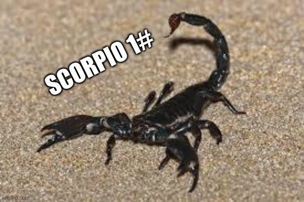 Hehe | SCORPIO 1# | image tagged in scorpions,comedy | made w/ Imgflip meme maker