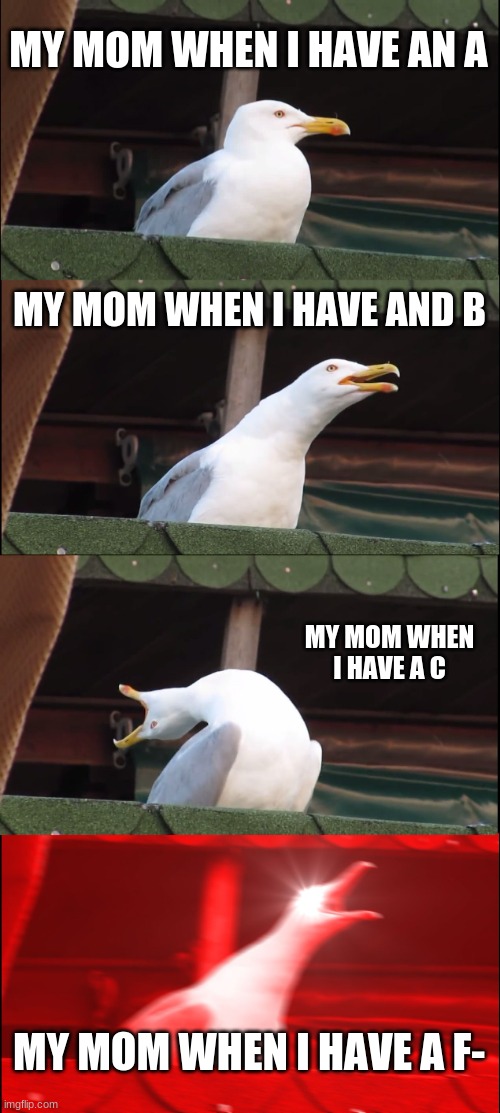 Inhaling Seagull Meme | MY MOM WHEN I HAVE AN A; MY MOM WHEN I HAVE AND B; MY MOM WHEN I HAVE A C; MY MOM WHEN I HAVE A F- | image tagged in memes,inhaling seagull | made w/ Imgflip meme maker