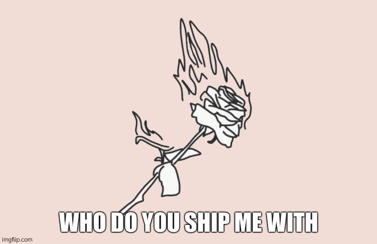 burning rose | WHO DO YOU SHIP ME WITH | image tagged in burning rose | made w/ Imgflip meme maker