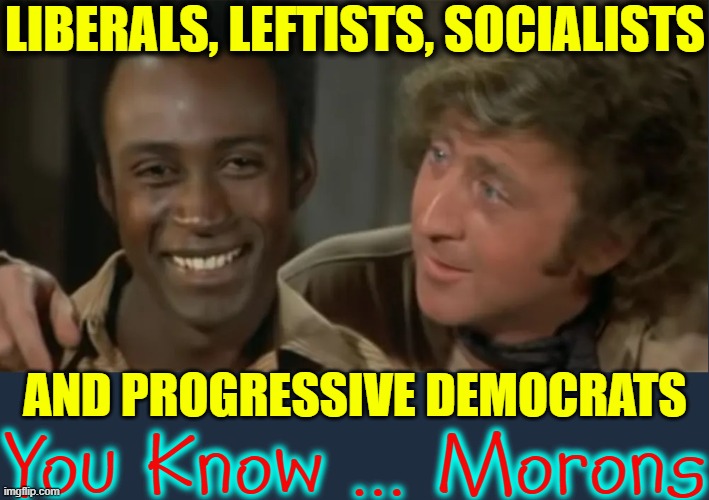 It's Easy to Explain... | LIBERALS, LEFTISTS, SOCIALISTS; AND PROGRESSIVE DEMOCRATS; You Know ... Morons | image tagged in vince vance,blazing saddles,gene wilder,progressives,socialists,memes | made w/ Imgflip meme maker