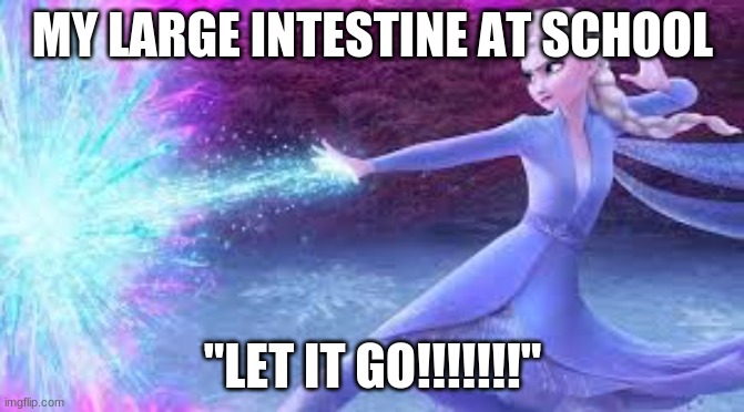 SCHOOL BE LIKE | MY LARGE INTESTINE AT SCHOOL; "LET IT GO!!!!!!!" | image tagged in relatable | made w/ Imgflip meme maker