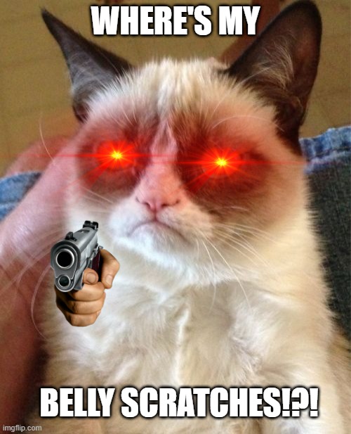 Grumpy Cat | WHERE'S MY; BELLY SCRATCHES!?! | image tagged in memes,grumpy cat | made w/ Imgflip meme maker