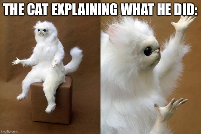 Persian Cat Room Guardian Meme | THE CAT EXPLAINING WHAT HE DID: | image tagged in memes,persian cat room guardian | made w/ Imgflip meme maker