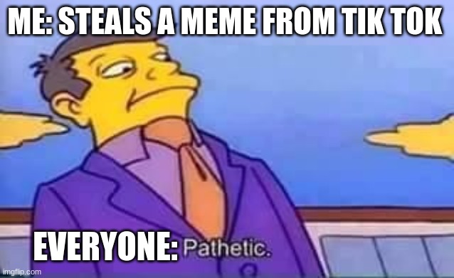 skinner pathetic | ME: STEALS A MEME FROM TIK TOK; EVERYONE: | image tagged in skinner pathetic | made w/ Imgflip meme maker