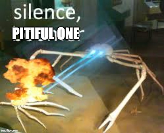 PITIFUL ONE | image tagged in silence | made w/ Imgflip meme maker