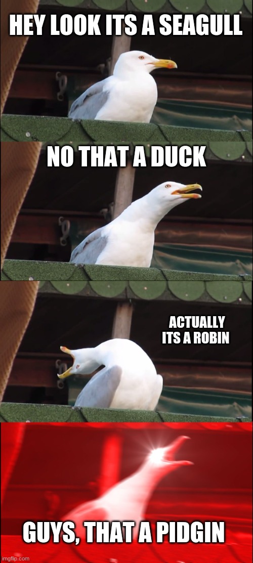birbs | HEY LOOK ITS A SEAGULL; NO THAT A DUCK; ACTUALLY ITS A ROBIN; GUYS, THAT A PIDGIN | image tagged in memes,inhaling seagull | made w/ Imgflip meme maker