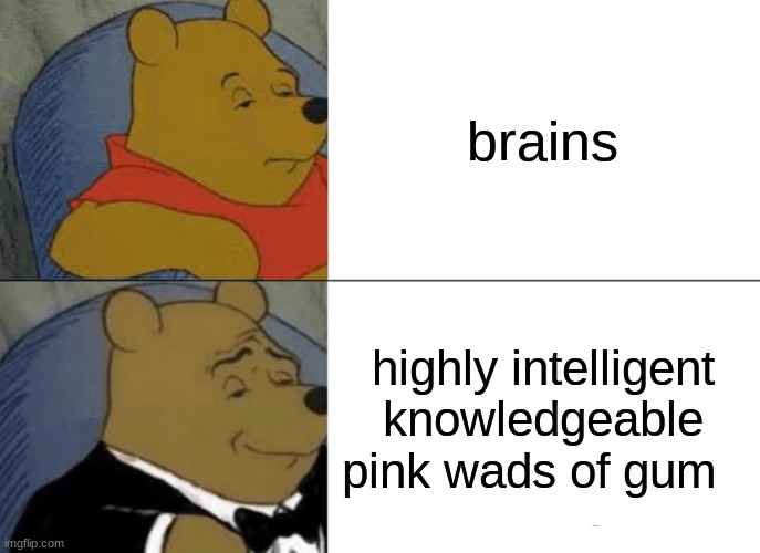 Tuxedo Winnie The Pooh | brains; highly intelligent knowledgeable pink wads of gum | image tagged in memes,tuxedo winnie the pooh | made w/ Imgflip meme maker
