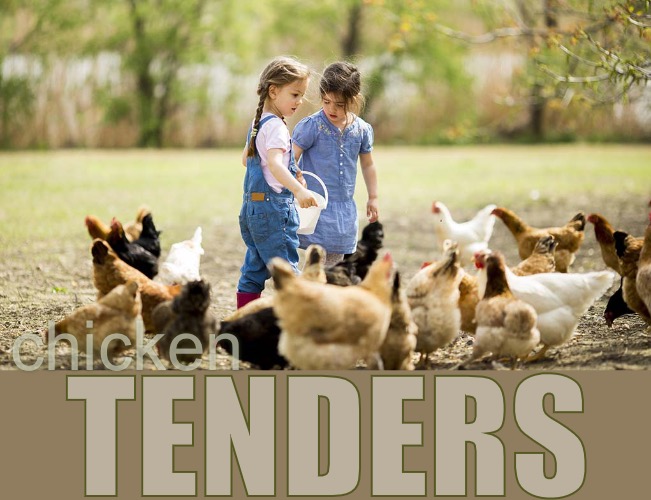 Tending to the Chickens | chicken; TENDERS | image tagged in funny memes,bad jokes,eyeroll | made w/ Imgflip meme maker