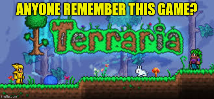 If u remember this then u deserve some lemon lime gatorade | ANYONE REMEMBER THIS GAME? | image tagged in terraria,memes,funny | made w/ Imgflip meme maker