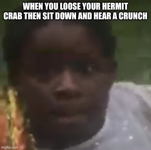 Uh oh | WHEN YOU LOOSE YOUR HERMIT CRAB THEN SIT DOWN AND HEAR A CRUNCH | image tagged in uh oh | made w/ Imgflip meme maker