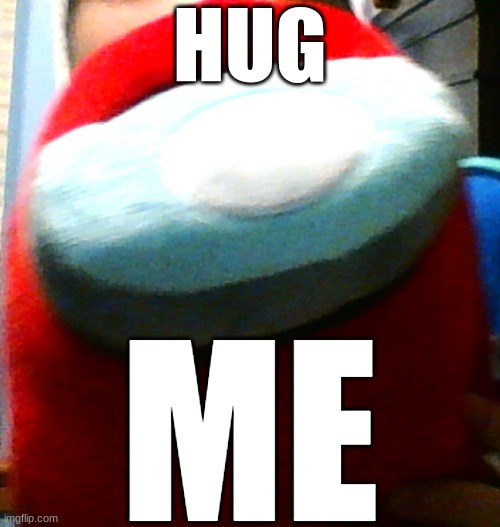 hug my plush | HUG; ME | image tagged in hug my plush | made w/ Imgflip meme maker