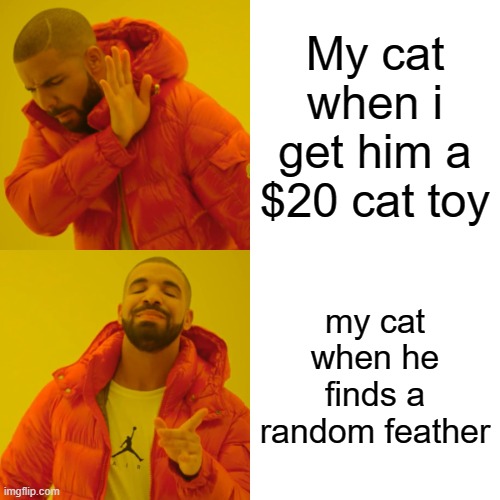 Drake Hotline Bling Meme | My cat when i get him a $20 cat toy; my cat when he finds a random feather | image tagged in memes,drake hotline bling | made w/ Imgflip meme maker