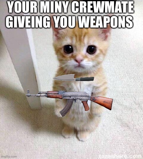 Cute Cat | YOUR MINY CREWMATE GIVEING YOU WEAPONS | image tagged in memes,cute cat | made w/ Imgflip meme maker