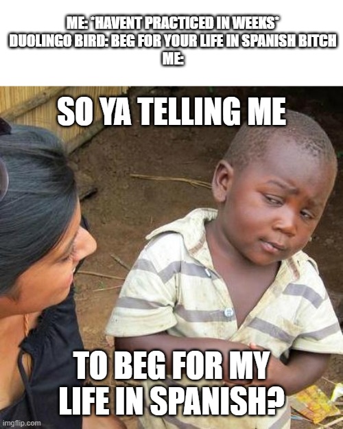 Ye | ME: *HAVENT PRACTICED IN WEEKS*
DUOLINGO BIRD: BEG FOR YOUR LIFE IN SPANISH BITCH
ME:; SO YA TELLING ME; TO BEG FOR MY LIFE IN SPANISH? | image tagged in memes,third world skeptical kid | made w/ Imgflip meme maker