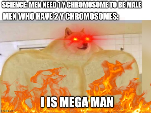 mega chad | SCIENCE: MEN NEED 1 Y CHROMOSOME TO BE MALE; MEN WHO HAVE 2 Y CHROMOSOMES:; I IS MEGA MAN | image tagged in doge,memes,funny,stupid memes | made w/ Imgflip meme maker