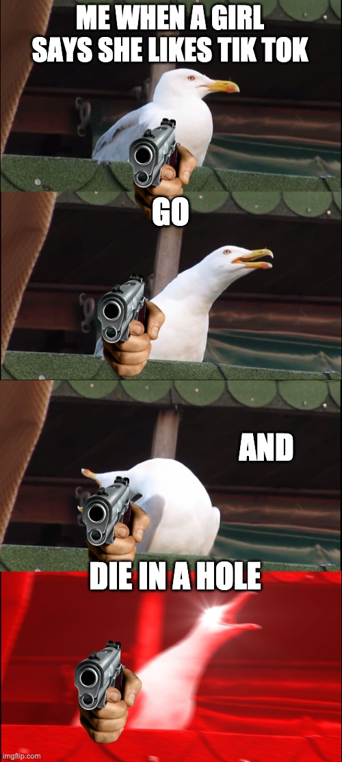 Inhaling Seagull | ME WHEN A GIRL SAYS SHE LIKES TIK TOK; GO; AND; DIE IN A HOLE | image tagged in memes,inhaling seagull | made w/ Imgflip meme maker