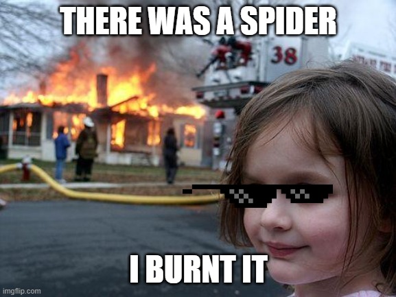 Disaster Girl | THERE WAS A SPIDER; I BURNT IT | image tagged in memes,disaster girl | made w/ Imgflip meme maker