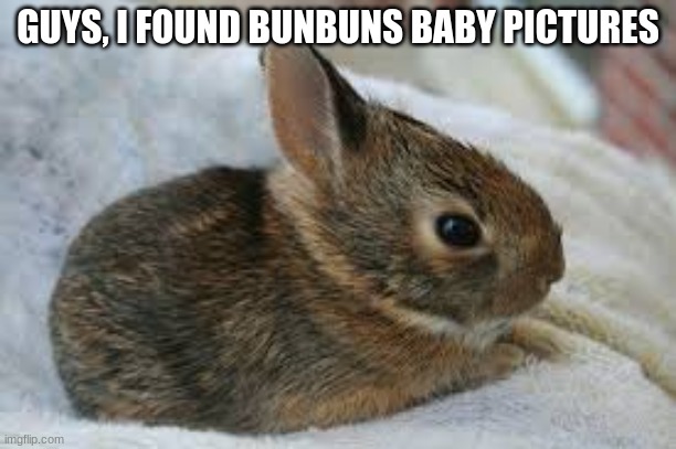 GUYS, I FOUND BUNBUNS BABY PICTURES | made w/ Imgflip meme maker