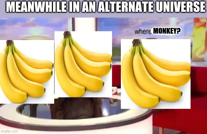 where mokey? | MEANWHILE IN AN ALTERNATE UNIVERSE; MONKEY? | image tagged in where banana | made w/ Imgflip meme maker