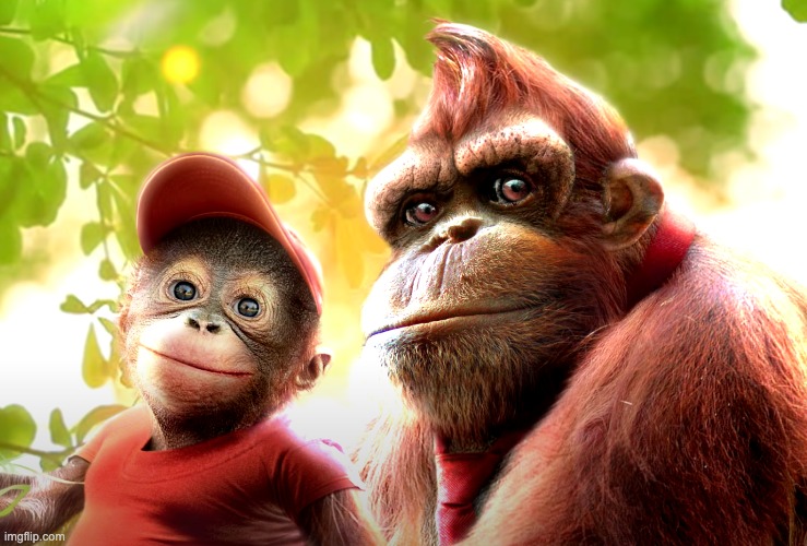 Realistic DK and Diddy | image tagged in donkey kong,stop reading the tags | made w/ Imgflip meme maker