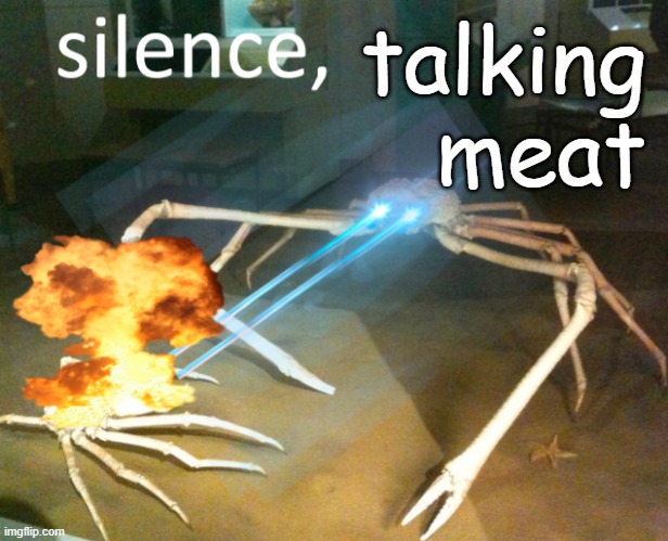 silence talking meat | talking meat | image tagged in silence crab | made w/ Imgflip meme maker