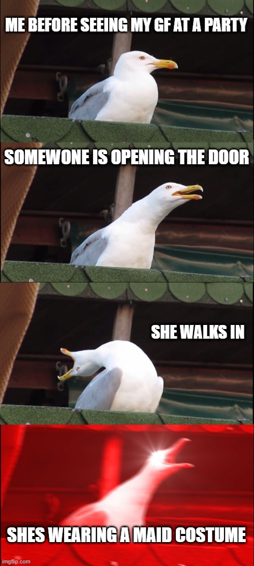 im les :) | ME BEFORE SEEING MY GF AT A PARTY; SOMEWONE IS OPENING THE DOOR; SHE WALKS IN; SHES WEARING A MAID COSTUME | image tagged in memes,inhaling seagull | made w/ Imgflip meme maker