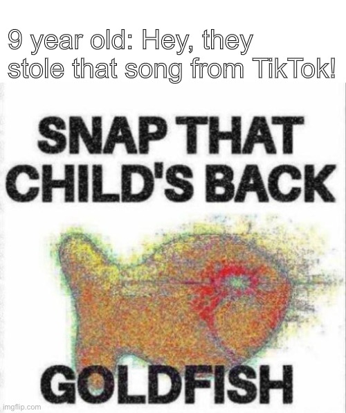 9 year old: Hey, they stole that song from TikTok! | image tagged in memes | made w/ Imgflip meme maker