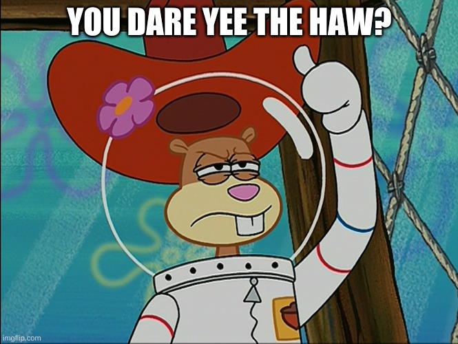 Sandy Cheeks | YOU DARE YEE THE HAW? | image tagged in sandy cheeks | made w/ Imgflip meme maker