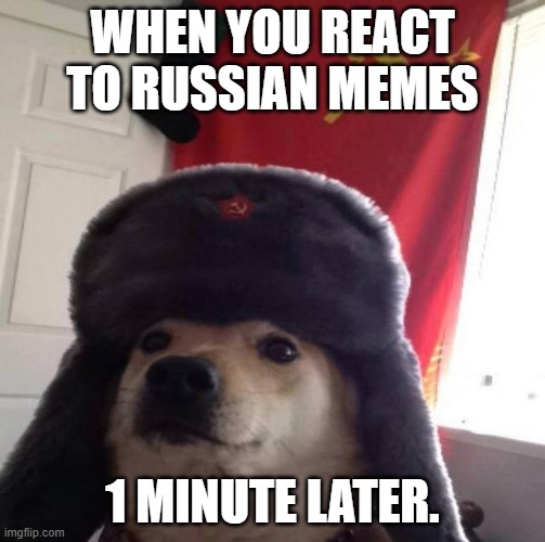 doge watches russian memes | WHEN YOU REACT TO RUSSIAN MEMES; 1 MINUTE LATER. | image tagged in russian doge | made w/ Imgflip meme maker