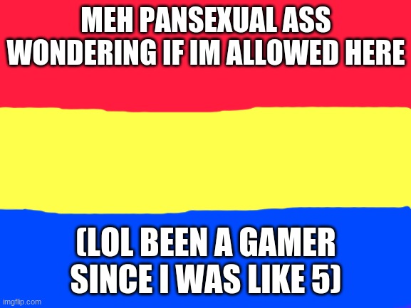 lol plz help meh | MEH PANSEXUAL ASS WONDERING IF IM ALLOWED HERE; (LOL BEEN A GAMER SINCE I WAS LIKE 5) | image tagged in blank white template | made w/ Imgflip meme maker