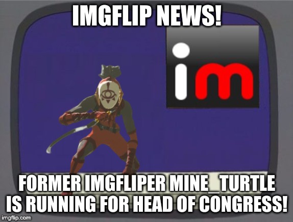 yep i am! im good at solving conflict so i thought i would give this job a whirl! | IMGFLIP NEWS! FORMER IMGFLIPER MINE_TURTLE IS RUNNING FOR HEAD OF CONGRESS! | image tagged in congress,news | made w/ Imgflip meme maker