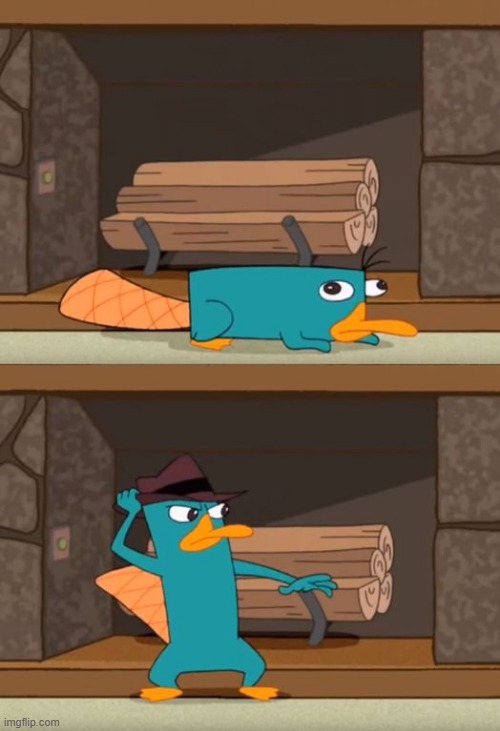 Perry the Platypus | image tagged in perry the platypus | made w/ Imgflip meme maker