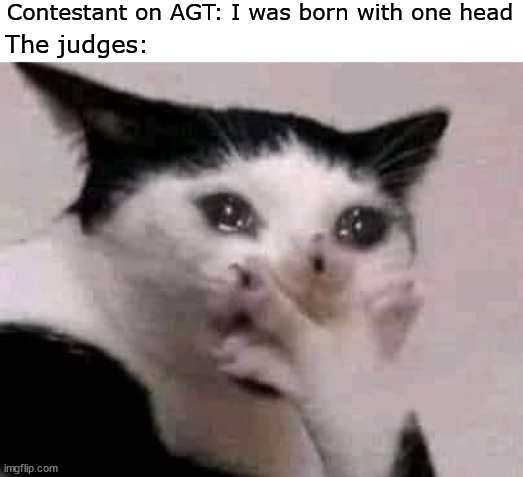 AGT | Contestant on AGT: I was born with one head; The judges: | image tagged in america,funny cat memes,i don't care | made w/ Imgflip meme maker