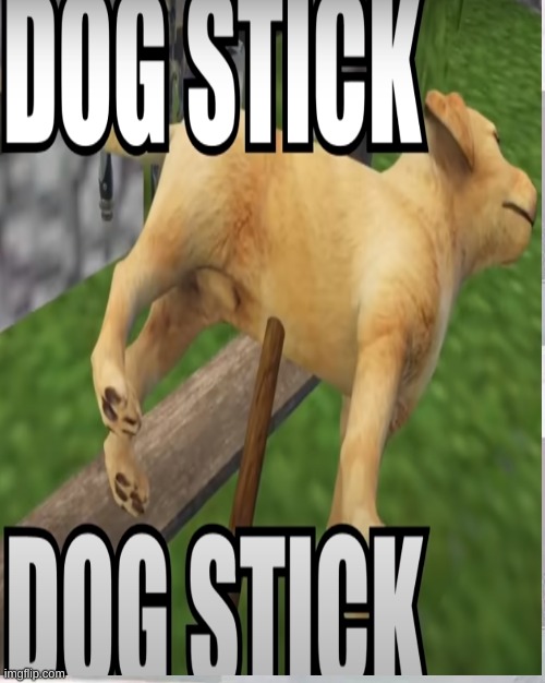 dog stick | image tagged in dog stick | made w/ Imgflip meme maker