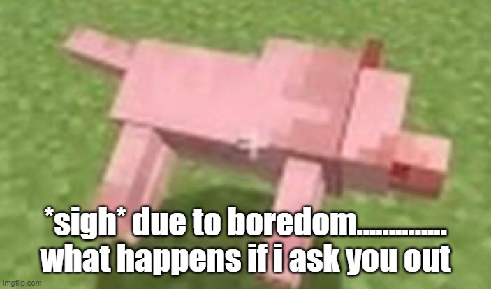 minecraft dog dying | *sigh* due to boredom.............. what happens if i ask you out | image tagged in minecraft dog dying | made w/ Imgflip meme maker