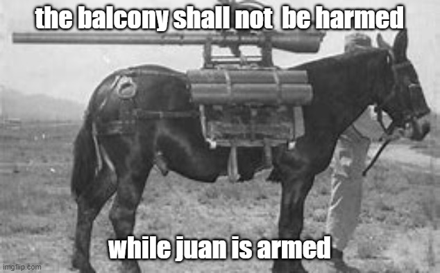 juan.... 2.0 | the balcony shall not  be harmed; while juan is armed | image tagged in memenade,juan | made w/ Imgflip meme maker